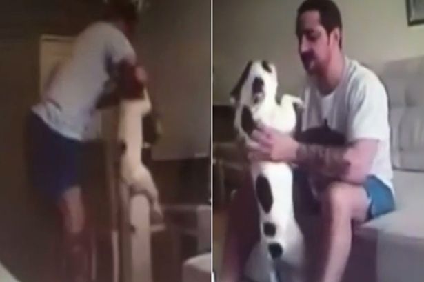 Woman Dumped His Husband To Be After He Got Caught Headbutting Her Pet