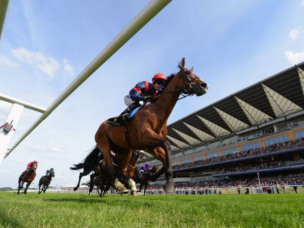 Royal Ascot 2015: The Queen and Royal Ascot