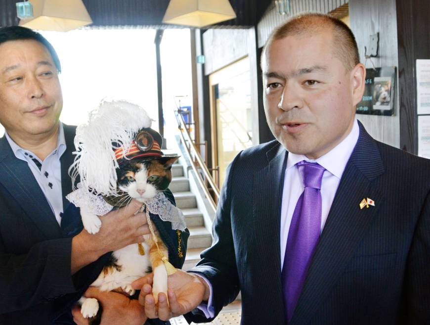 Japan Stationmaster Cat Dies