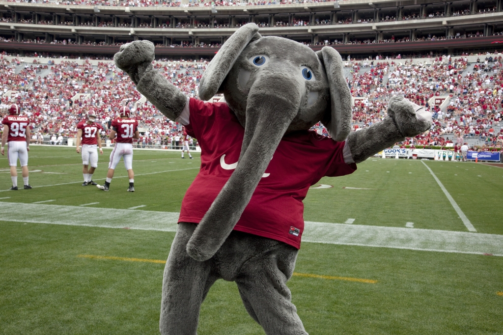 Since the 1930s Big Al the Alabama Crimson Tide football team mascot has cheered the team to victo