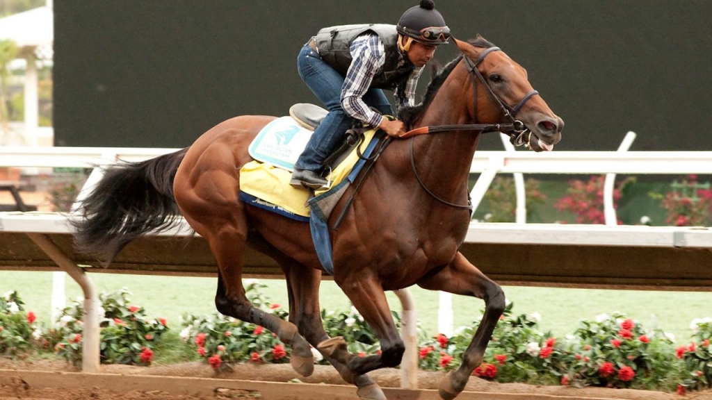 NJ Transit adding trains for American Pharoah race - Times Union