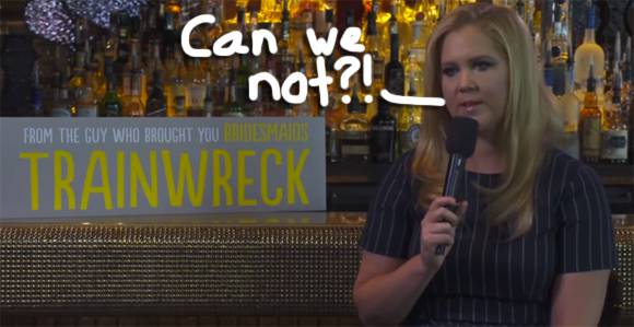 5 Things You'd Never Guess About Amy Schumer