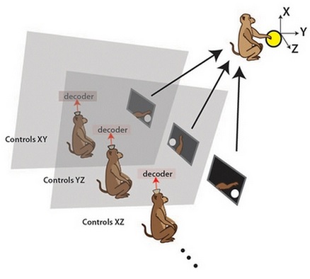 How Networked Monkey Brains Could Help Disabled Humans | MIT Technology