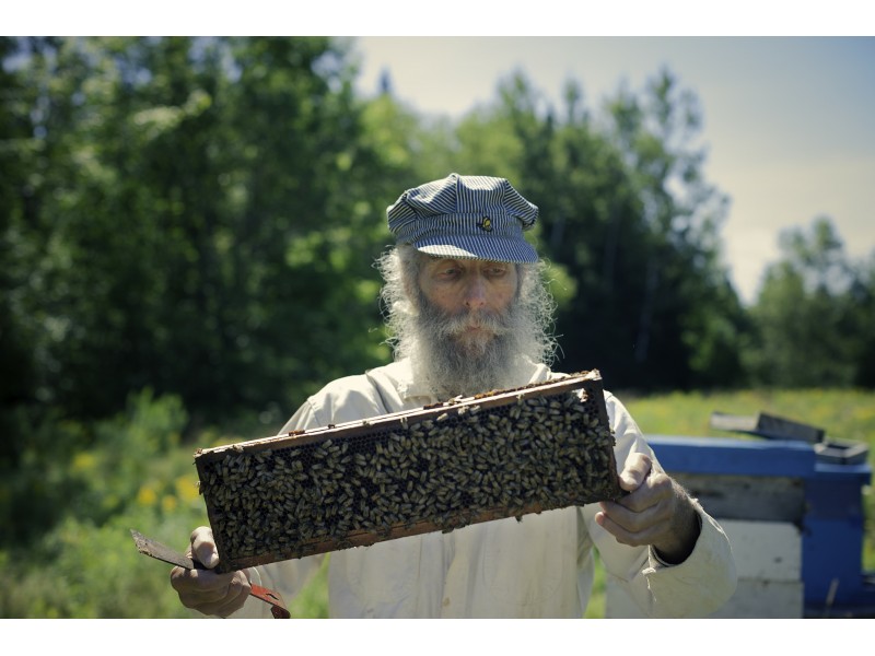 Burt Shavitz the Face of Burt's Bees Dies at 80