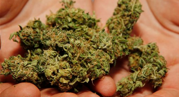 Could marijuana help cure broken bones