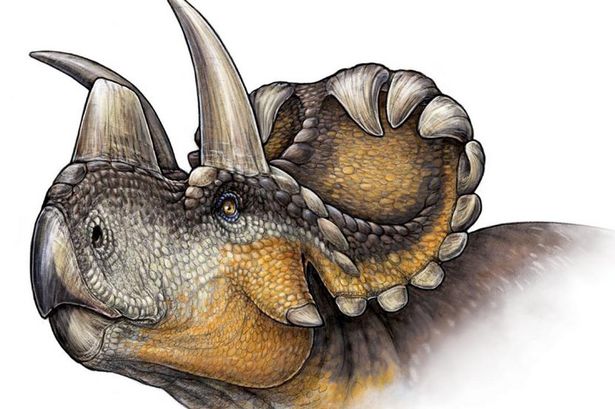 Wendiceratops