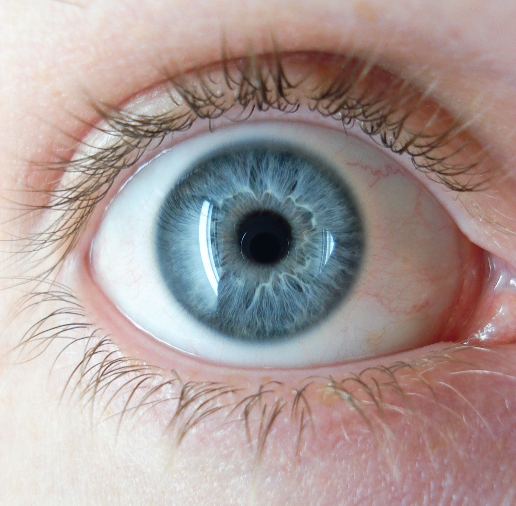 Blue-Eyed Boozehounds Can Now Blame Genetics, Study Says