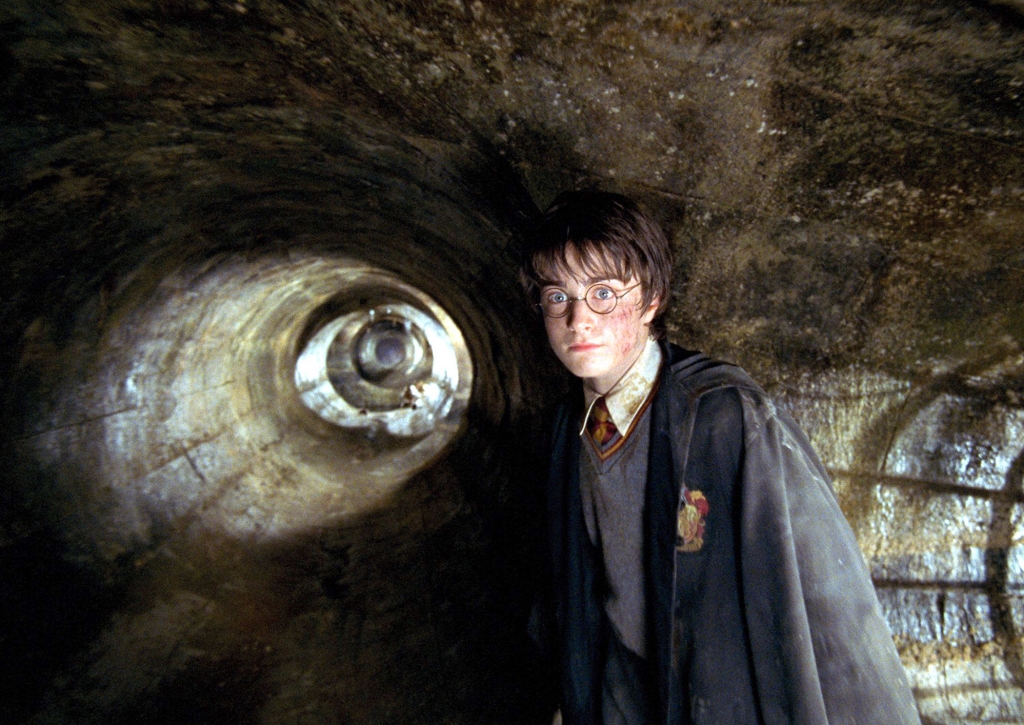 Daniel Radcliffe as Harry Potter in Harry Potter and the Chamber of Secrets