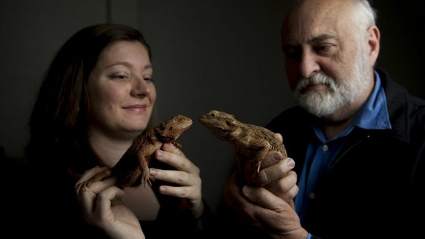 Dr Claire Holleley and Professor Arthur Georges have discovered that climate change is affecting the sex of some animals