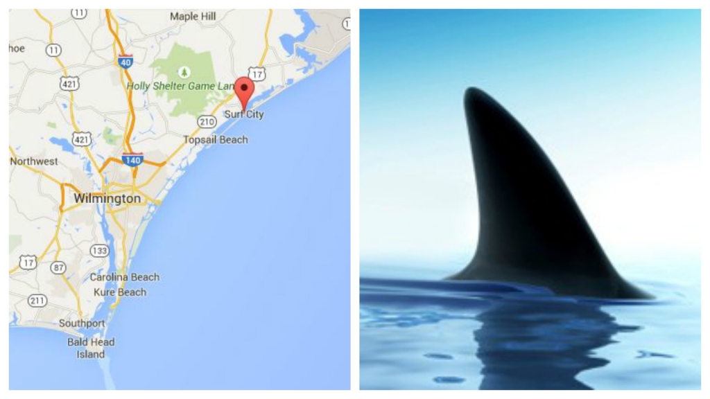 Eighth shark attack in NC reported in Surf City Stock