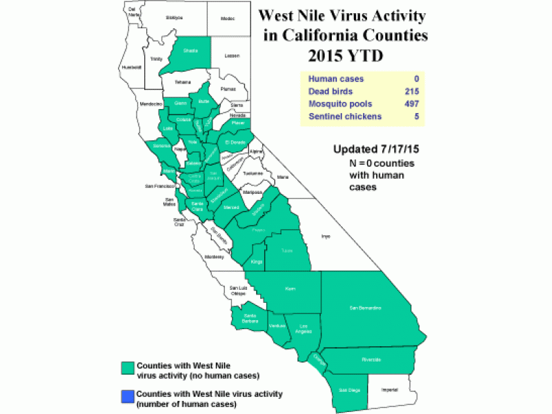 First West Nile Virus Death Of 2015 Confirmed In California