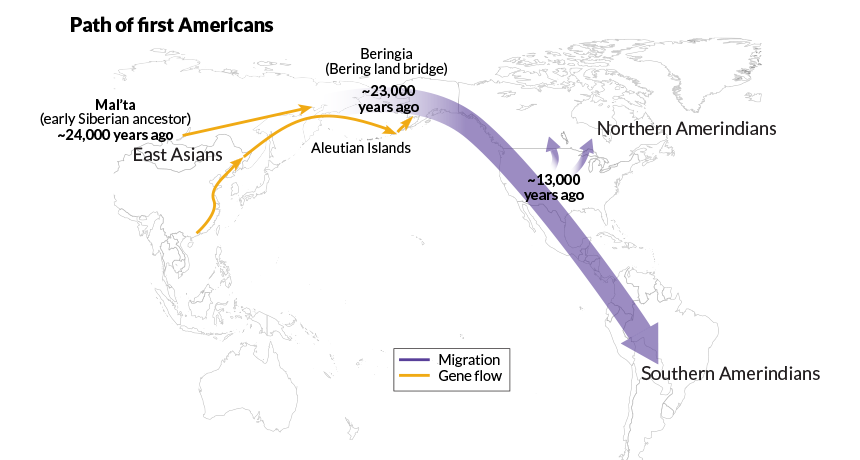 Native Americans&#039 origins