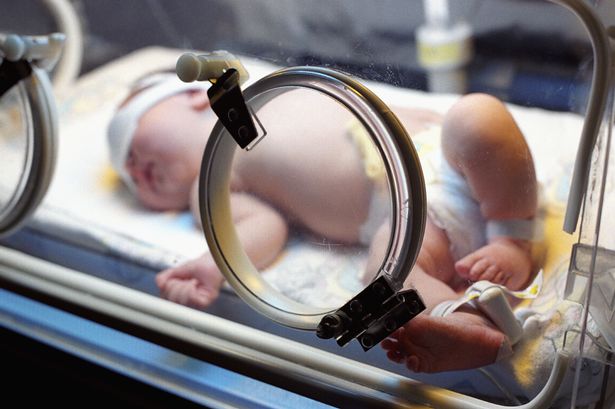 Premature baby in incubator