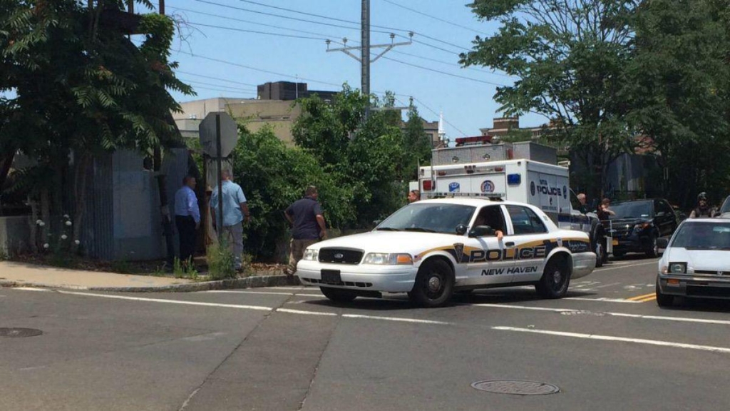 Police found not one but two severed arms in downtown New Haven last night about a block away from where they uncovered a pair of human legs