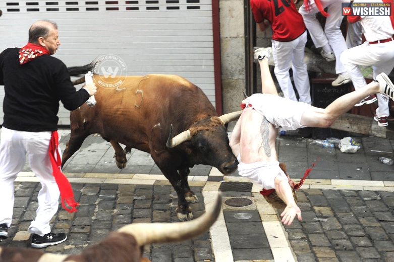 Running bulls a blood sport