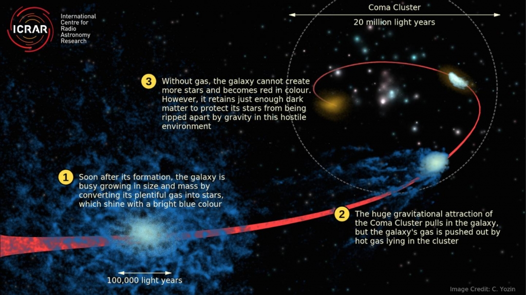 Dead galaxies in Coma Cluster may be packed with dark matter | International