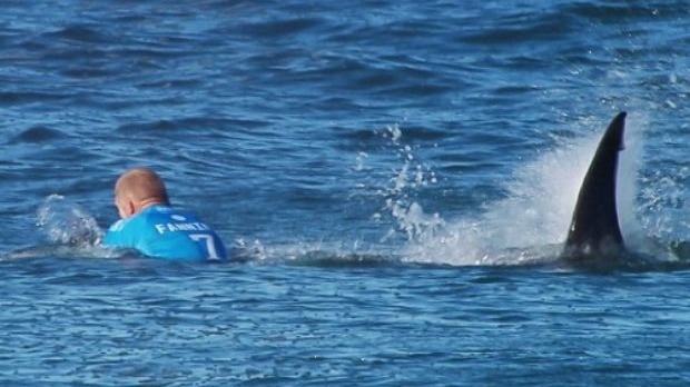 Mick Fanning was attacked by a shark during the J Bay Open managing to punch and kick it away