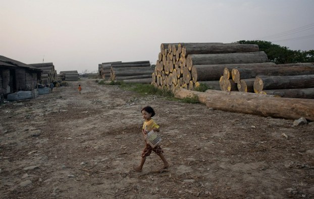 153 Chinese get life sentences for illegal logging in Myanmar - The Nation