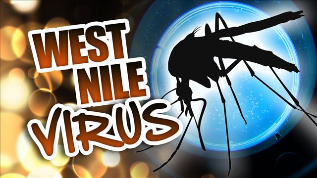 Neb Has First 2015 West Nile Case - Sentinel Republic