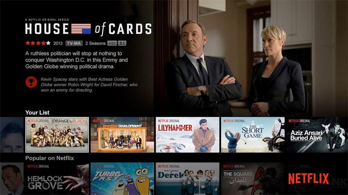 Netflix TV app update