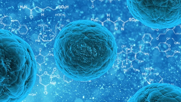 Stem Cells Factories Will Soon Become A Reality