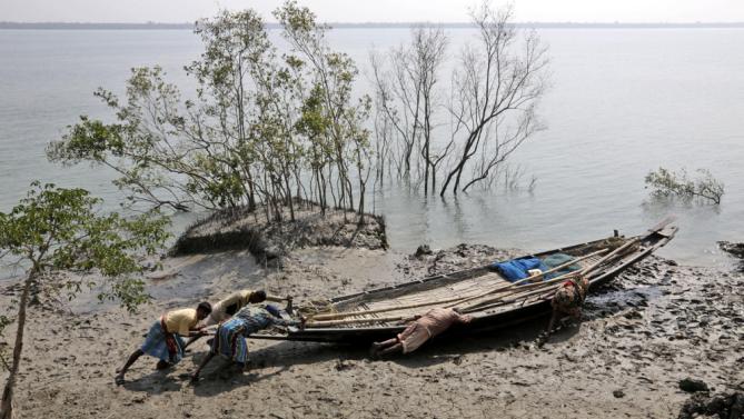 Only 100 Tigers Remain in Bangladesh's Sundarban Forests, Survey Shows | TIME