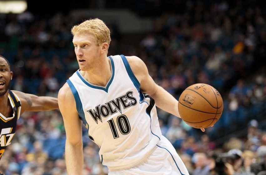 Wolves trade Chase Budinger to Pacers for Damjan Rudez