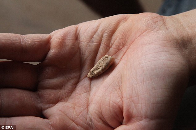 Prehistoric human tooth found in France