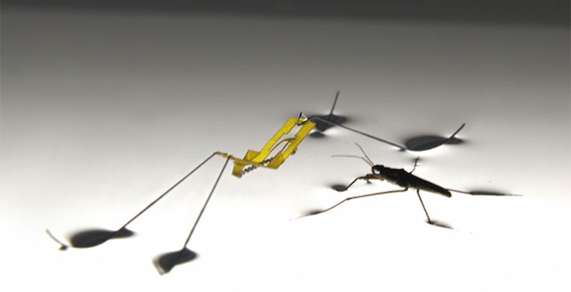 Water Strider Robot can jump on water