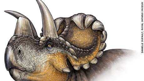 New horned dinosaur species discovered