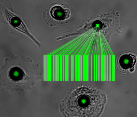 Laser light made inside cells | Science News