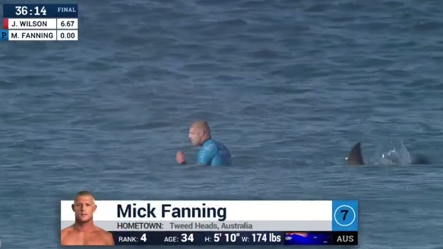 WATCH Surfer Mick Fanning Survives Shark Attack in South Africa