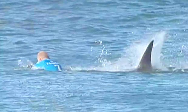 Surfing champion fought back against shark attack