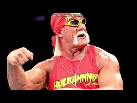 WWE Cut Ties with Hulk Hogan Following Racist Tirade - Cultured Vultures