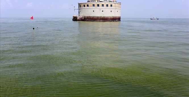 Summer forecast for Lake Erie: Another big algae outbreak - San Antonio