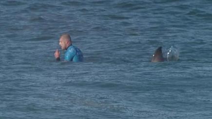 Mick Fanning moments before he was knocked off his board by a shark