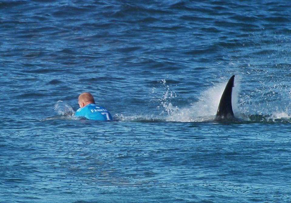 In this image made available by the World Surf League Australian surfer Mick Flanning is pursued by a shark in Jeffrey's Bay South Africa Sunday