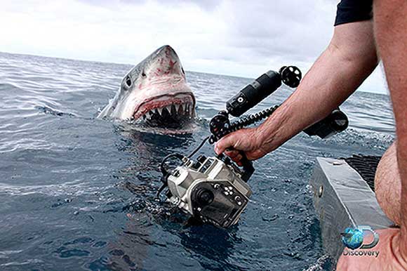 The 2015 season of'Shark Week will premiere on Sunday July 5 at 8 p.m. EDT on Discovery Channel