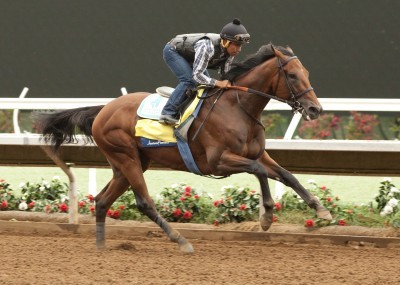 Baffert Confident as American Pharoah Heads East - America's Best Racing. The