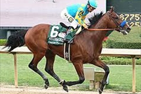 American Pharoah will run in Haskell Invitational in New Jersey on Aug. 2