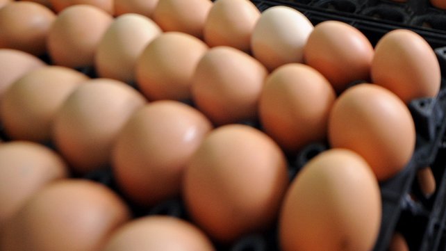 US food prices rose by 0.3% in June driven mainly by a sharp increase in egg prices