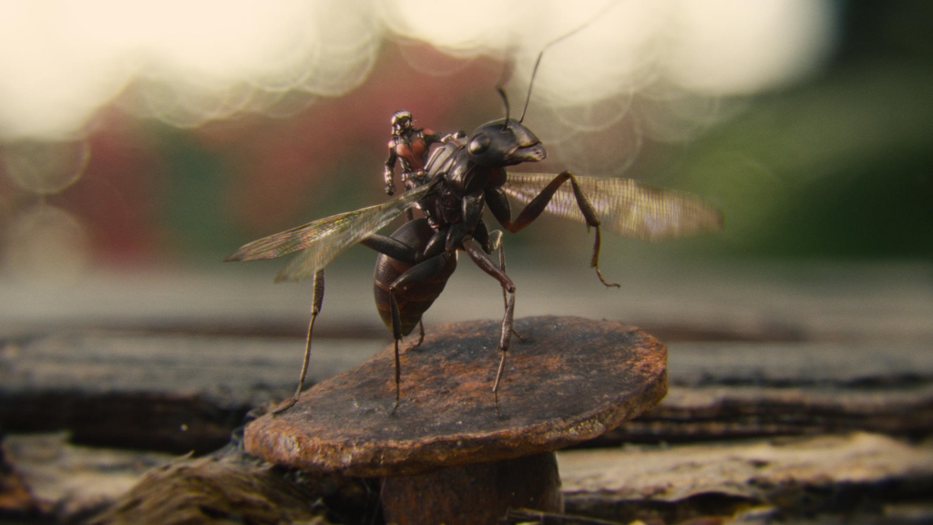 Visual effects supervisor Jake Morrison wanted Ant-Man's titular insects to be both accurate and relatable