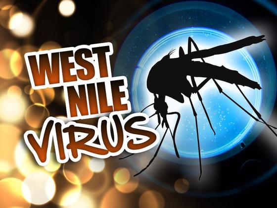 First human case of West Nile Virus this year story image