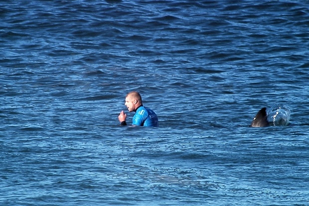 Craig Ison carried out a ‘replay’ of Mick Fanning’s fight back of a great white Reuters