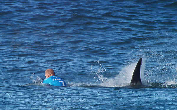 Surfer Mick Fanning to arrive home on the Gold Coast following a lucky escape from a shark in South Africa