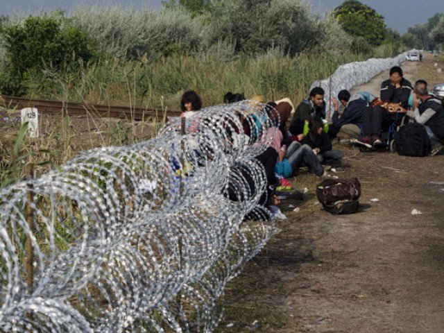 A migrant family rests beside the border fence near the village of Asotthalom at the Hungarian Serbian border