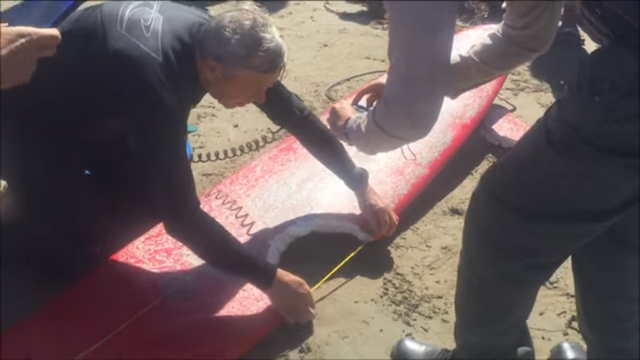 A shark bite is measure on Elinor Dempsey's board after her close encounter with a shark near Morro Bay