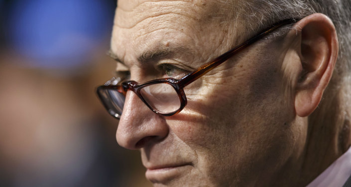 Sen. Chuck Schumer D-N.Y