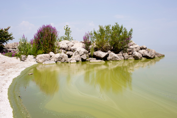 The Big-Ag-Fueled Algae Bloom That Won't Leave Toledo's Water Supply Alone