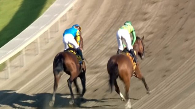 American Pharoah cruises to Haskell Invitational win